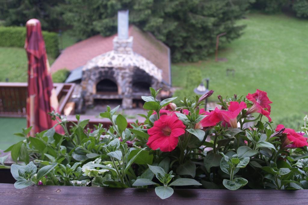 Hotel Pavla Vysocina Nove Mesto na Morave Room photo